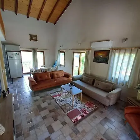 Kayakoey Zeka فيلة *