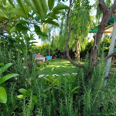 Vila Kayakoey Zeka